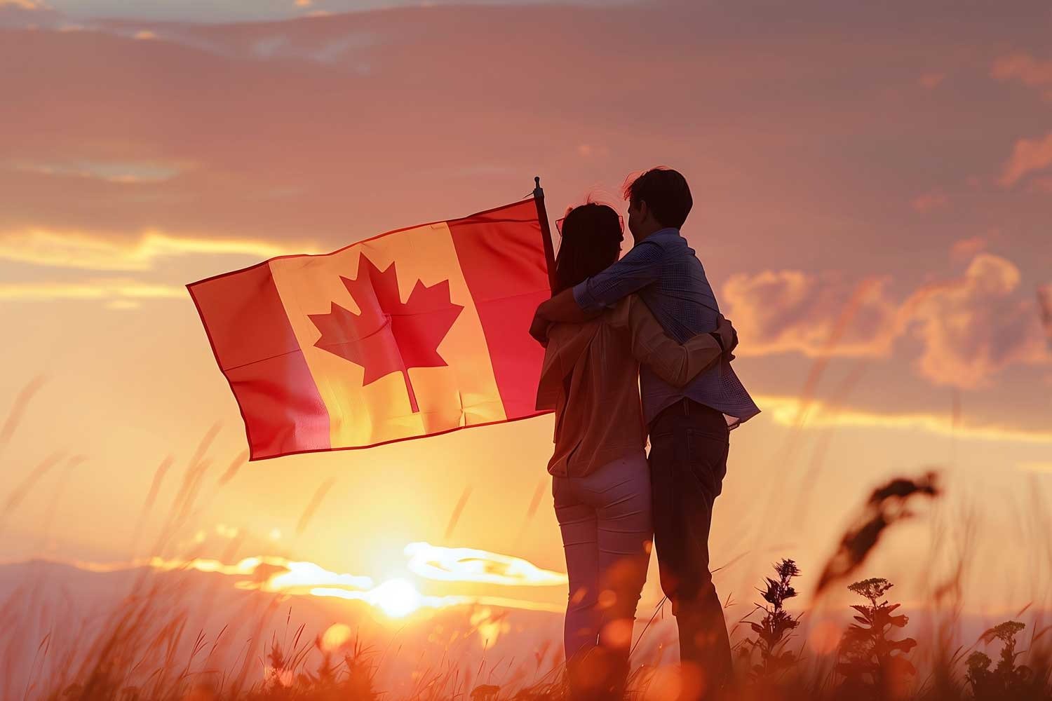 Immigration Lawyer in Brampton